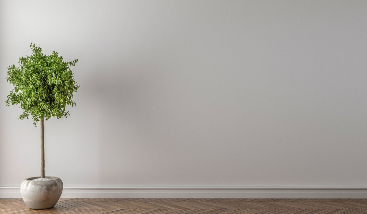 The cheap ways to soundproof a wall